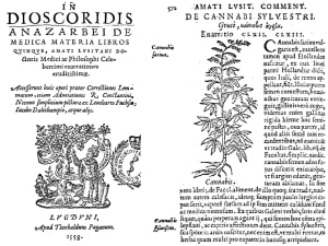 Pengetahuan ganja medis